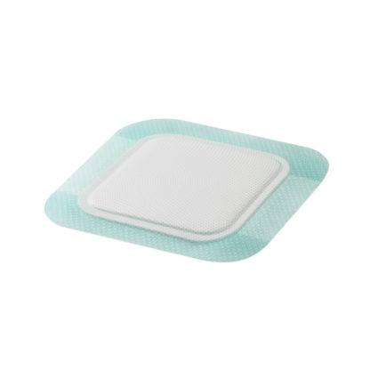 Biatain Silicone Fit Foam Dressing